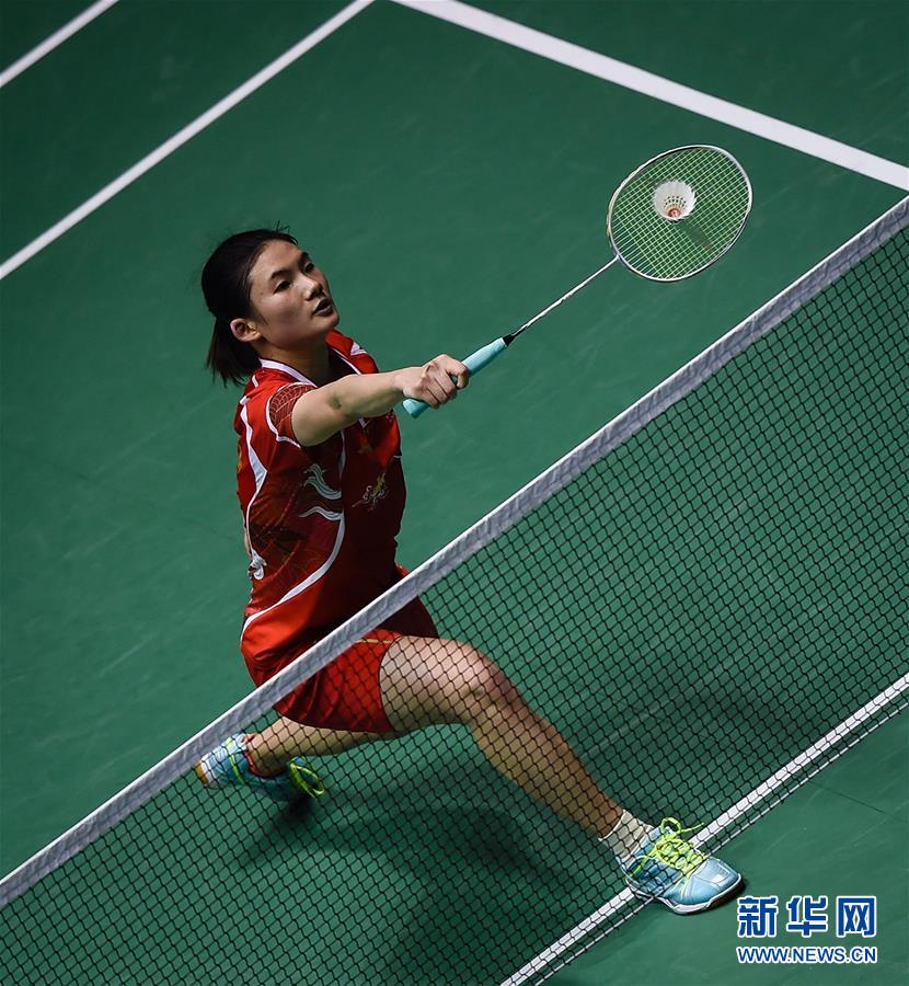 团队和适应 团队和适应