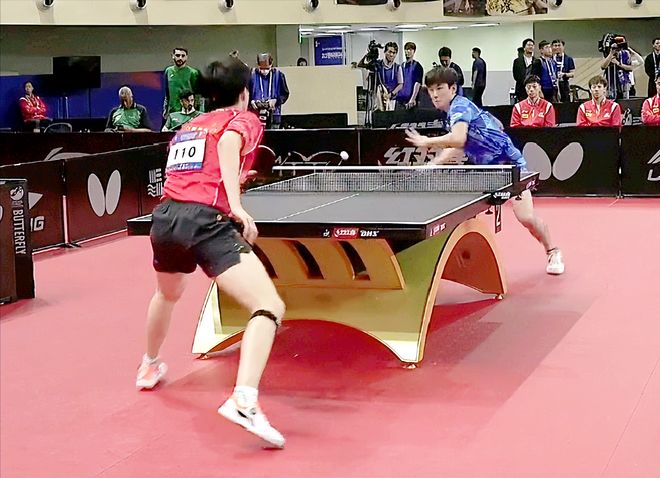 适应德甲的 适应德甲的