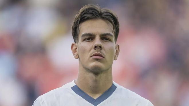 他在试用后 他在试用后