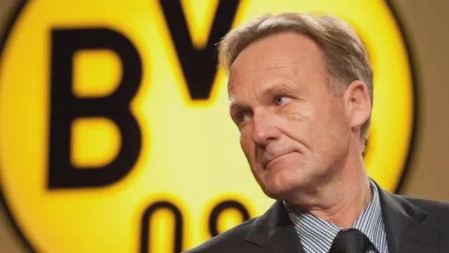 升级为兼具 升级为兼具